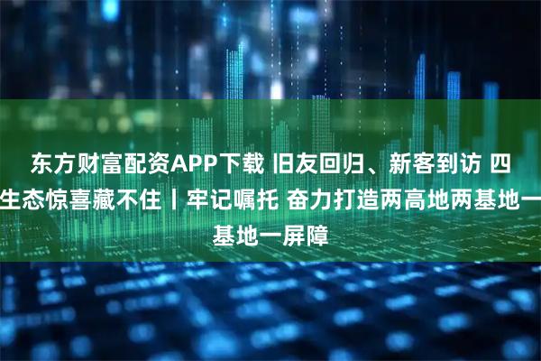 东方财富配资APP下载 旧友回归、新客到访 四川的生态惊喜藏不住丨牢记嘱托 奋力打造两高地两基地一屏障