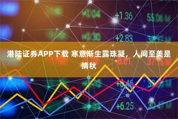 港陆证券APP下载 寒意渐生露珠凝，人间至美是清秋