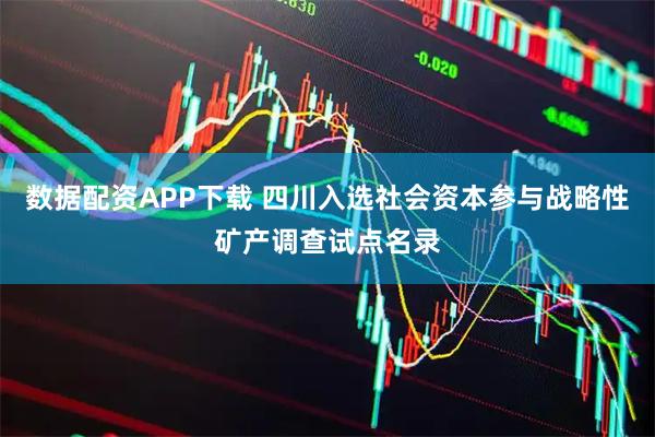 数据配资APP下载 四川入选社会资本参与战略性矿产调查试点名录