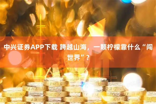 中兴证券APP下载 跨越山海，一颗柠檬靠什么“闯世界”？