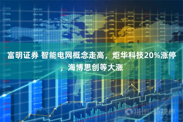 富明证券 智能电网概念走高，炬华科技20%涨停，海博思创等大涨