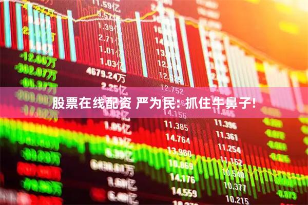 股票在线配资 严为民: 抓住牛鼻子!