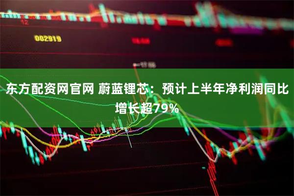 东方配资网官网 蔚蓝锂芯：预计上半年净利润同比增长超79%